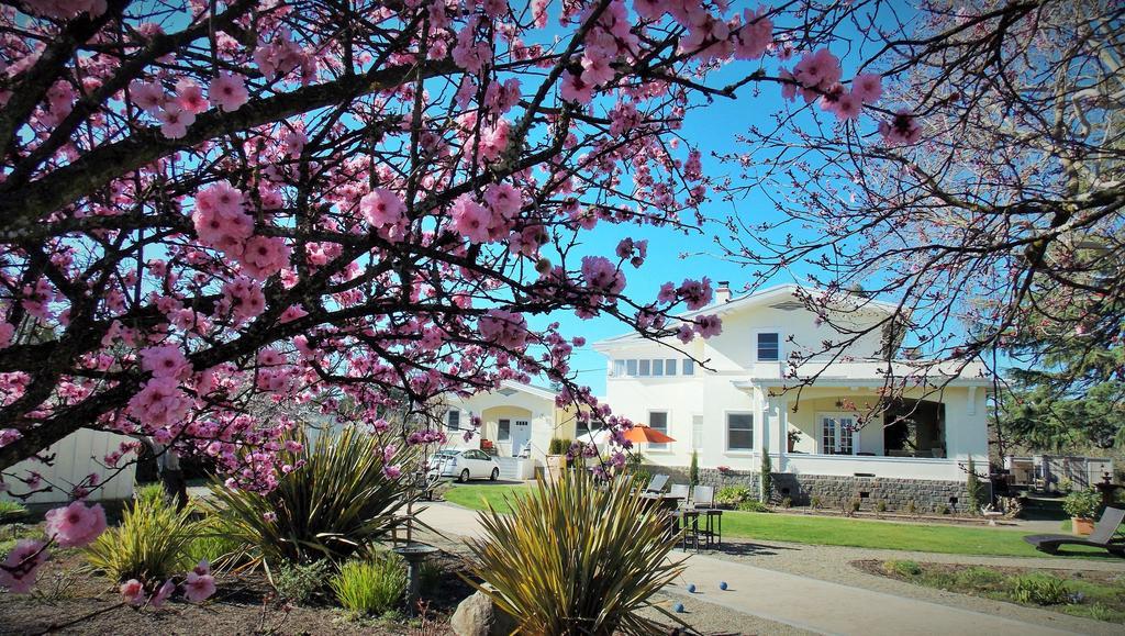 Casa Bella Inn Kenwood Dış mekan fotoğraf